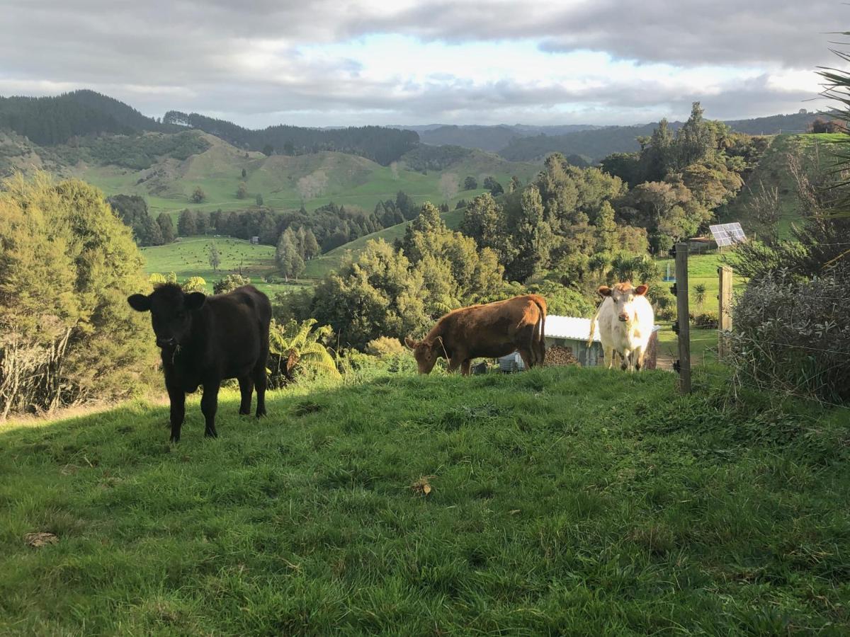 Bed and Breakfast Nadarra Hideaway Otorohanga Exterior foto