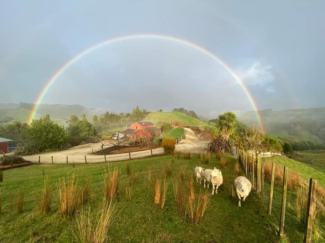 Bed and Breakfast Nadarra Hideaway Otorohanga Exterior foto